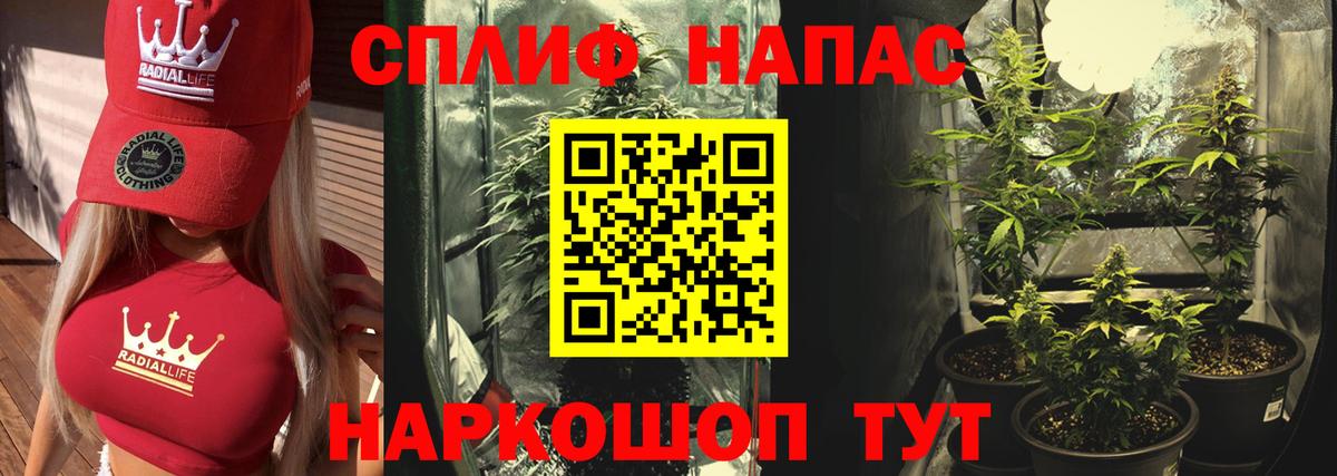 Бошки марихуана THC 21% Гусь-Хрустальный